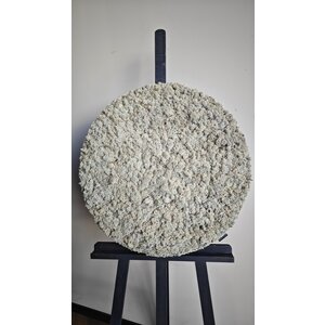 OUTLET Mooskreis GRAU Rentiermoos 80cm schwarze Kante (1 Stück verfügbar)