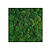 Moswens Quadratisches Moosbild 100% Bulbs inklusive Rahmen