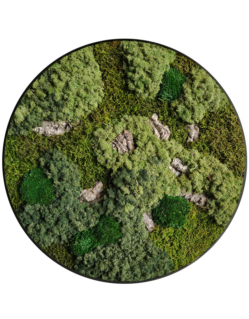 Moswens Rundes Moosbild Corky