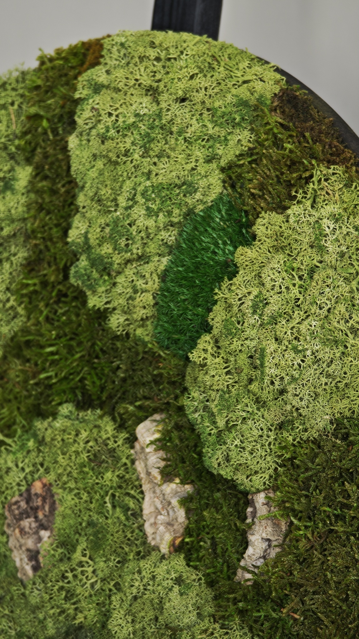 Moswens Rundes Moosbild Corky