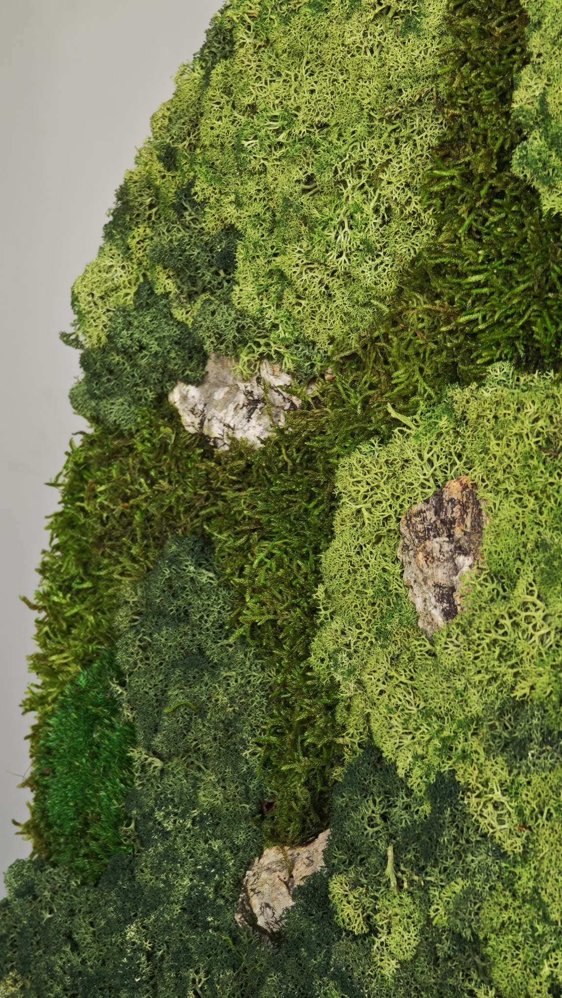 Moswens Rundes Moosbild Corky