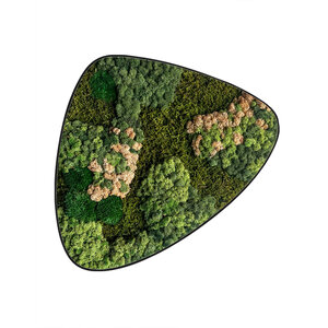 Moosdot tres Moosbild Rosaine