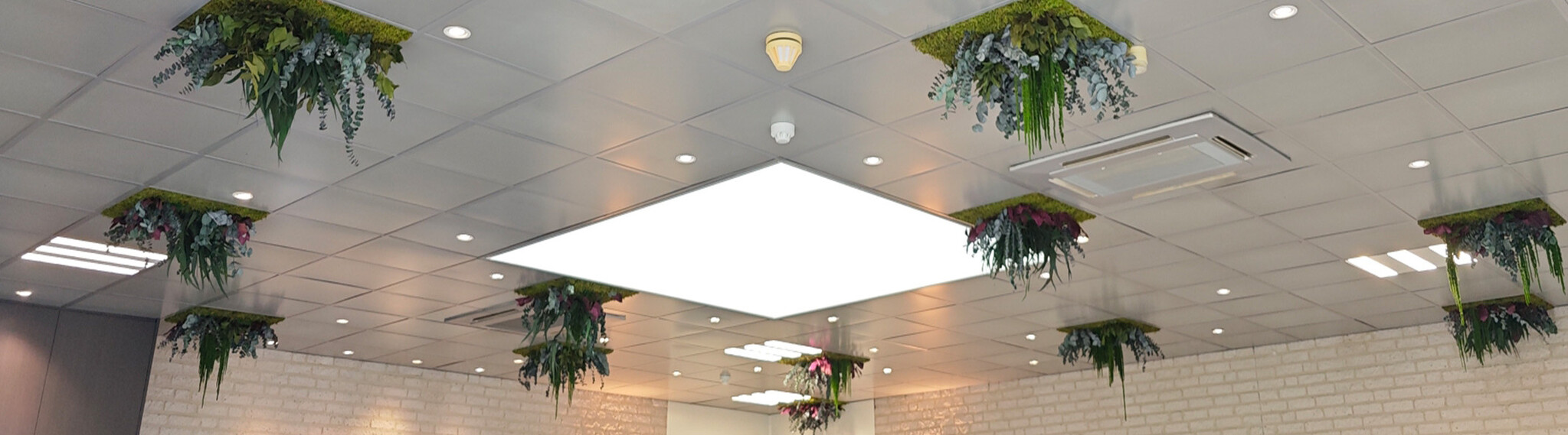 Mosschilderij plafond panelen jungle moswens Moosbild.jpg	