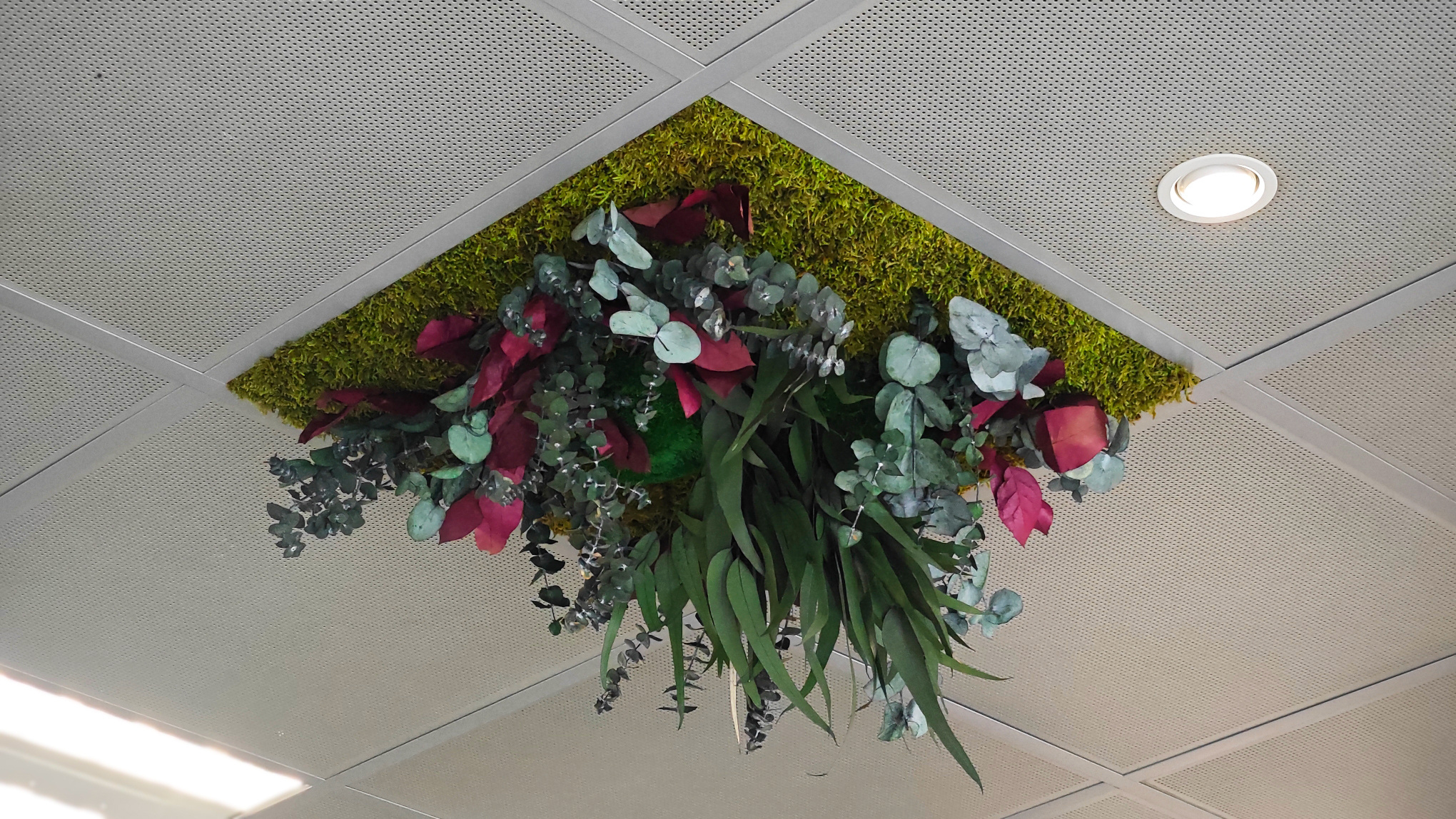 Moswens Dschungel Decke Rubor 58cm x 58cm