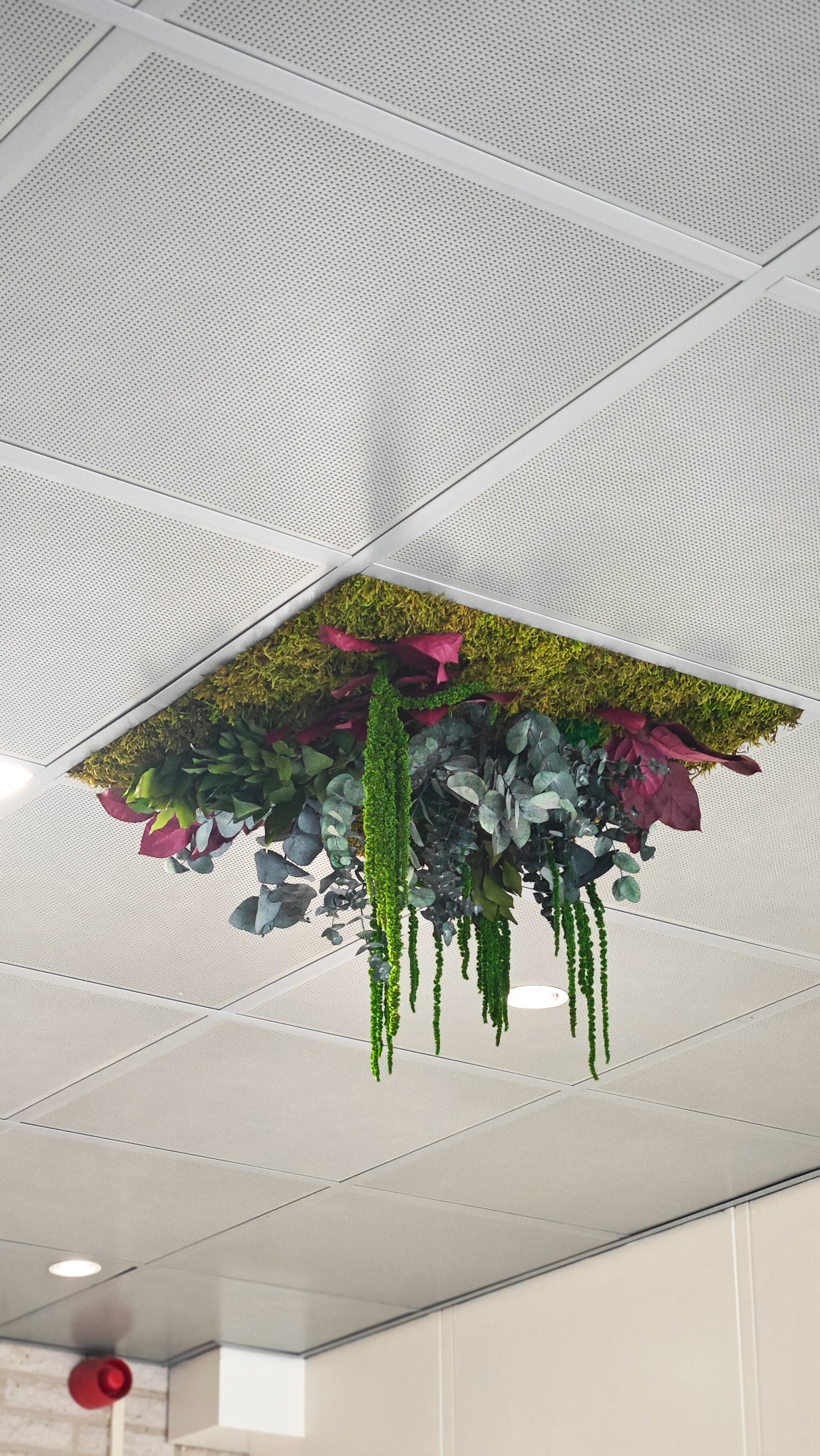 Moswens Dschungel Decke Rubor 58cm x 58cm