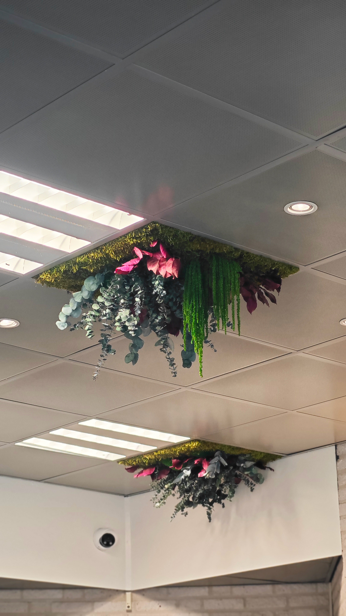 Moswens Dschungel Decke Rubor 58cm x 58cm