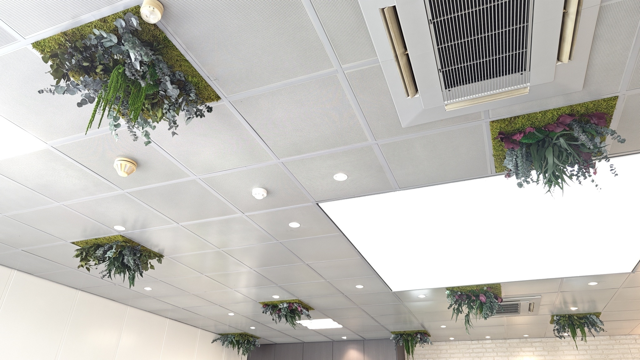 Moswens Dschungel Decke Rubor 58cm x 58cm