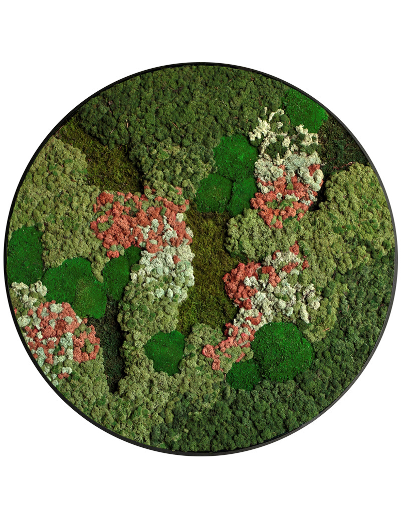 Moswens Rundes Moosbild Vienna