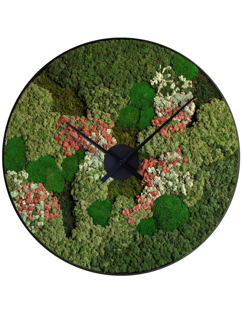 Moswens Rundes Moosbild Vienna