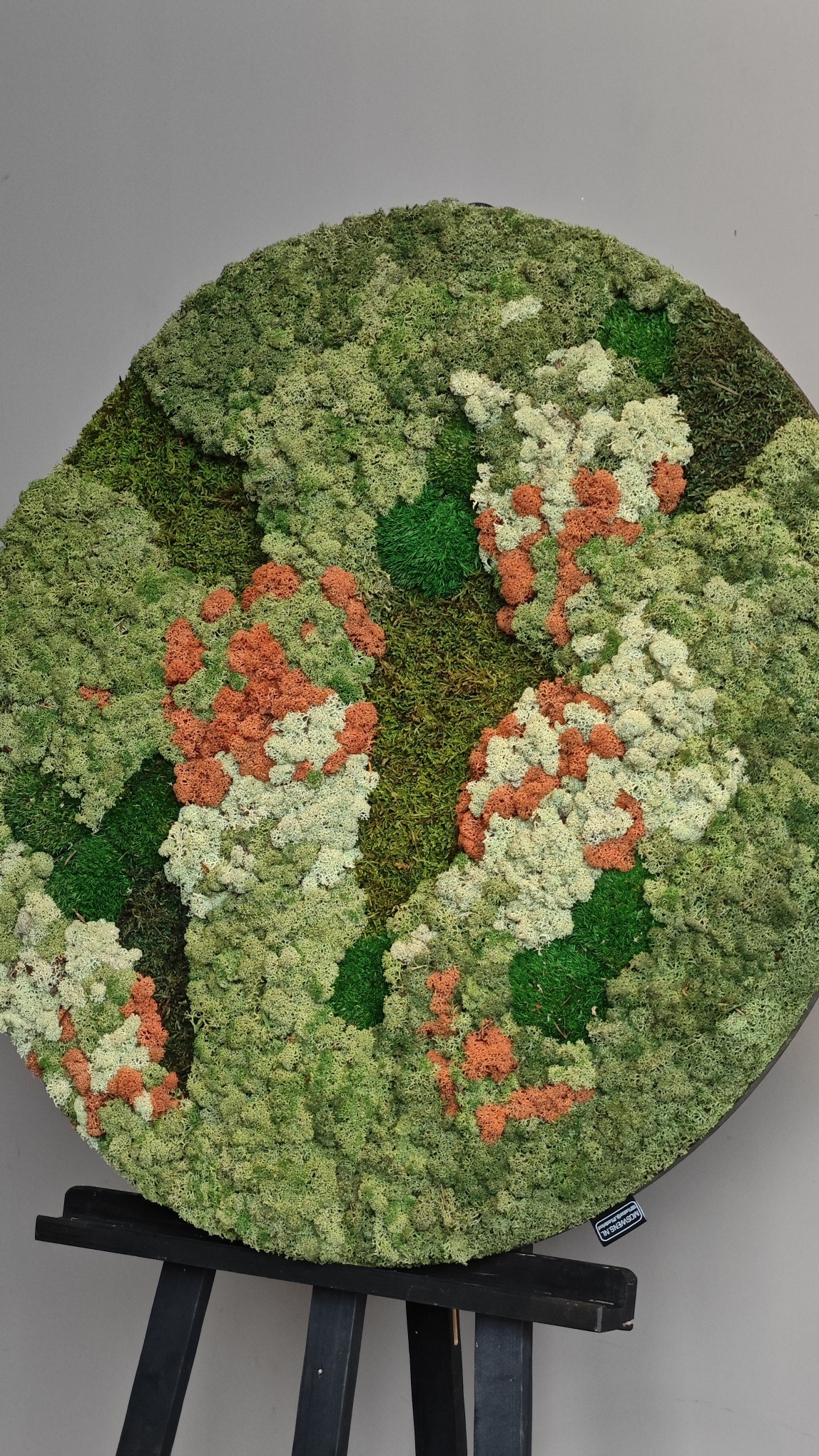 Moswens Rundes Moosbild Vienna