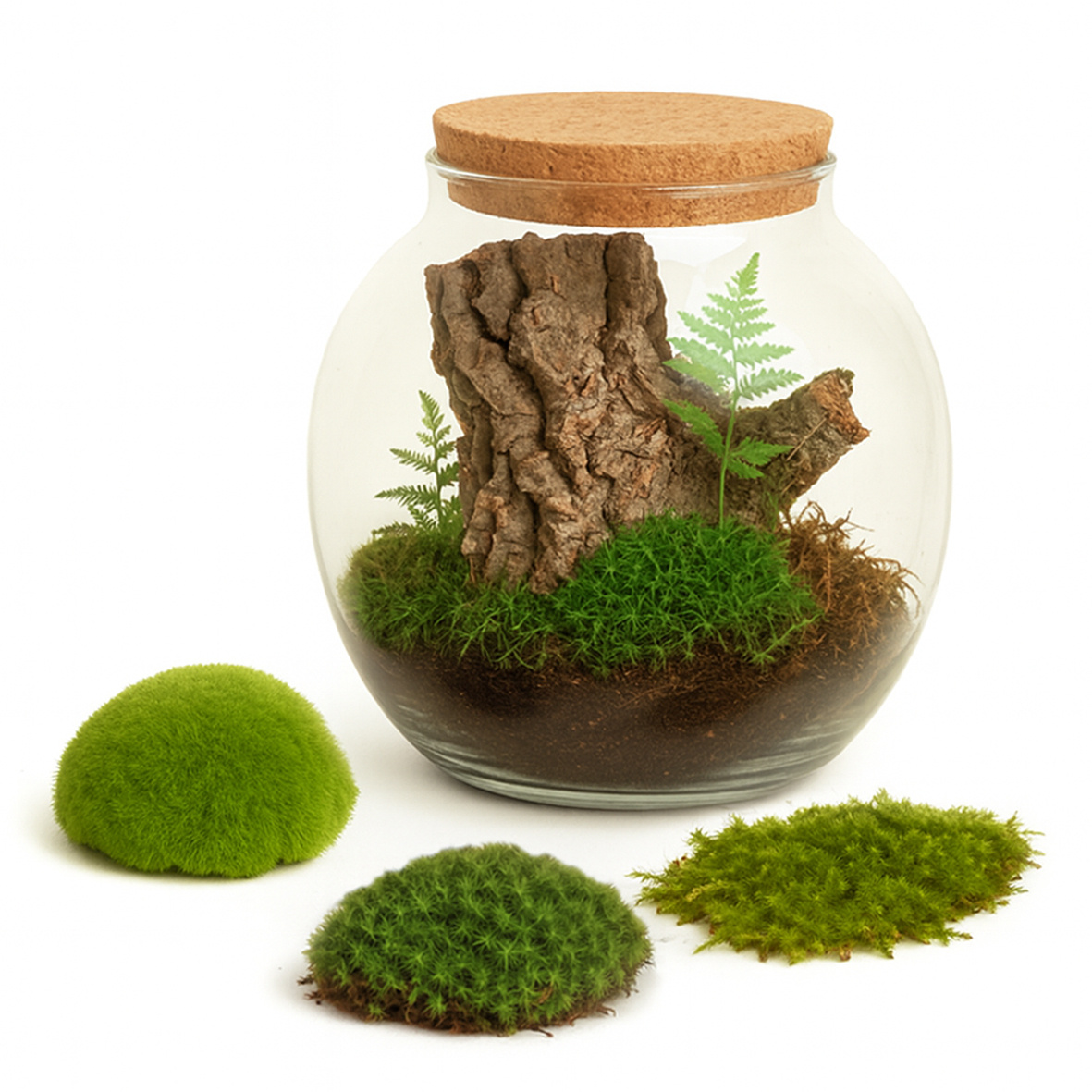 Terrarium Moos