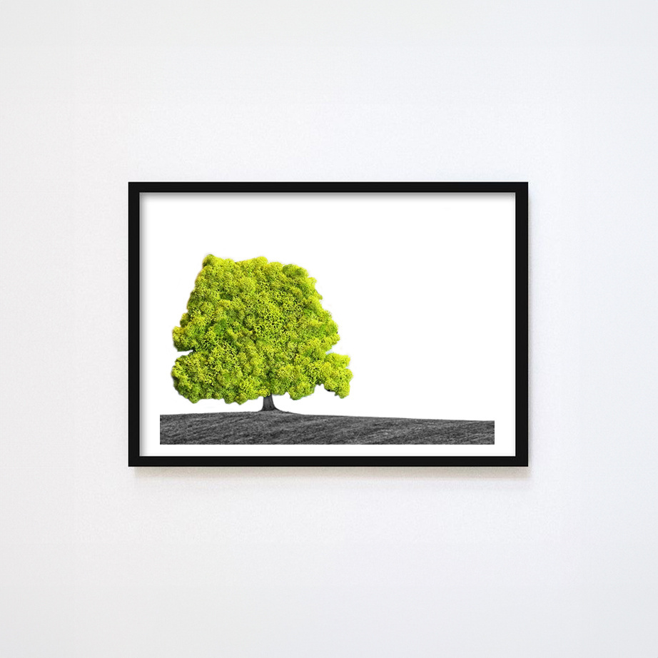 Moswens Moosporträt Landschaft