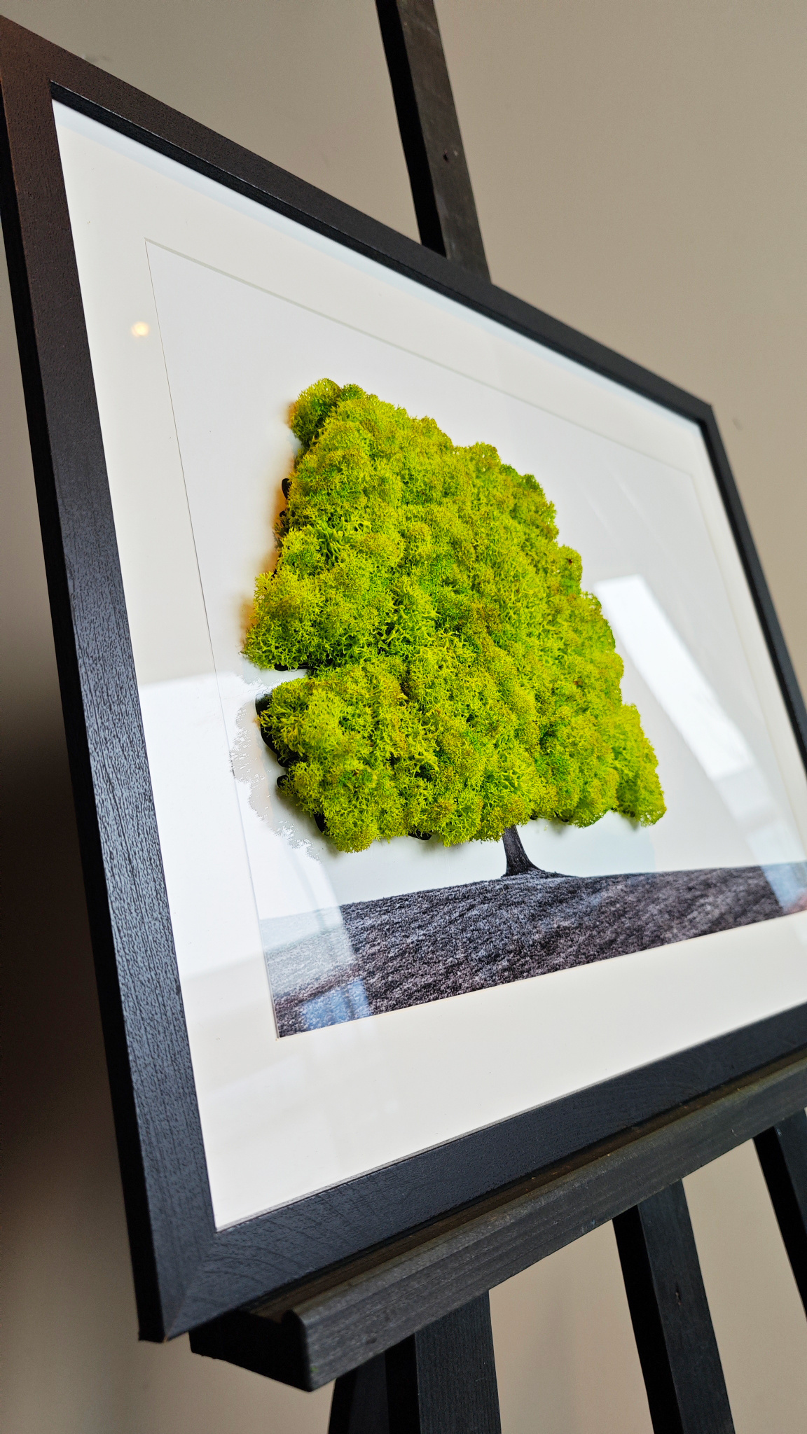 Moswens Moosporträt Landschaft