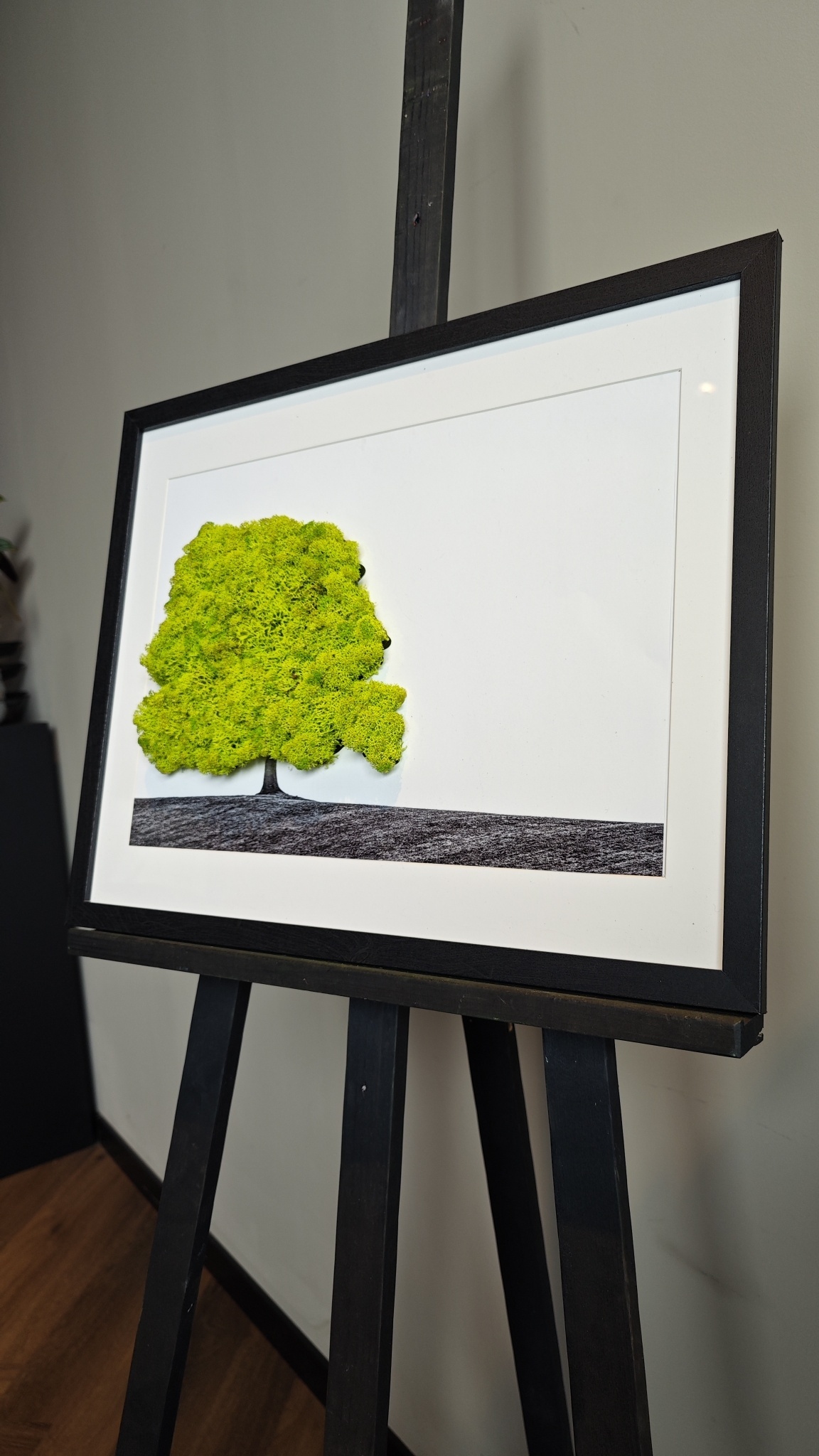 Moswens Moosporträt Landschaft