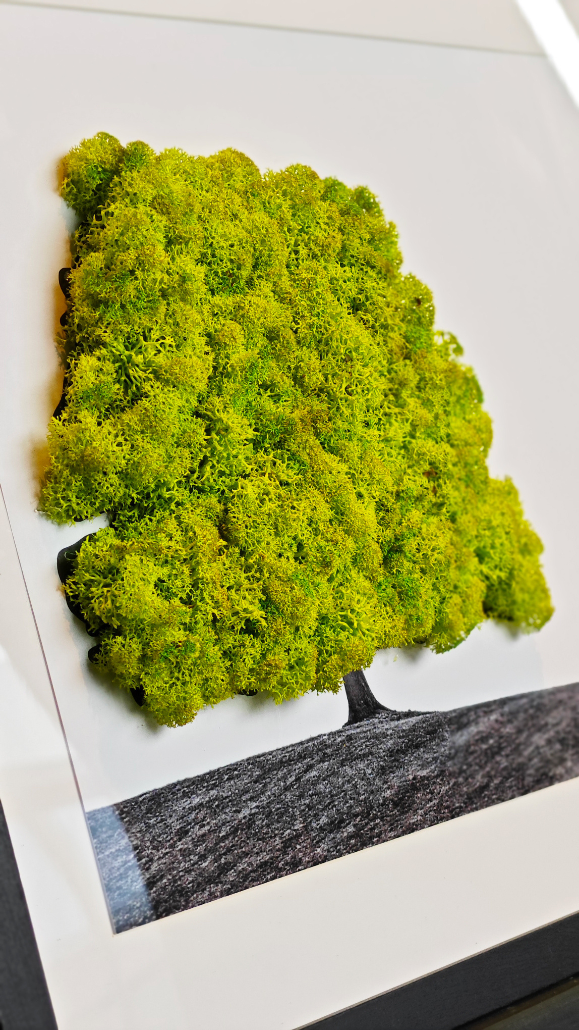 Moswens Moosporträt Landschaft