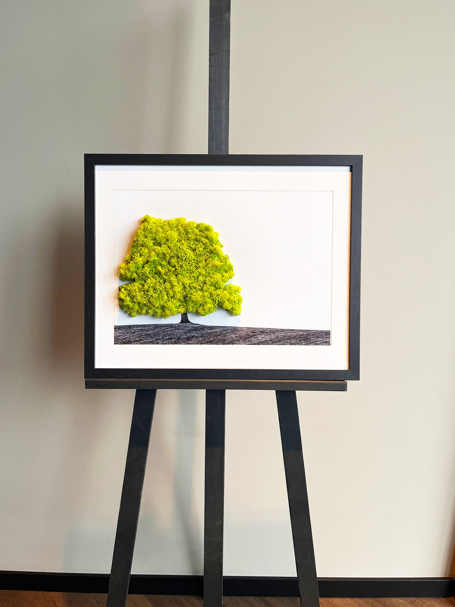 Moswens Moosporträt Landschaft