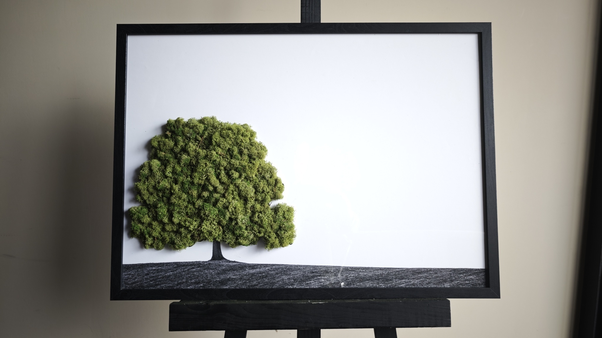 Moswens Moosporträt Landschaft