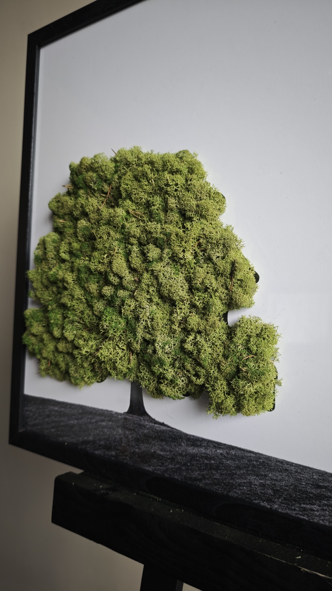 Moswens Moosporträt Landschaft