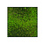 Moswens Quadratisches Moosbild Loran