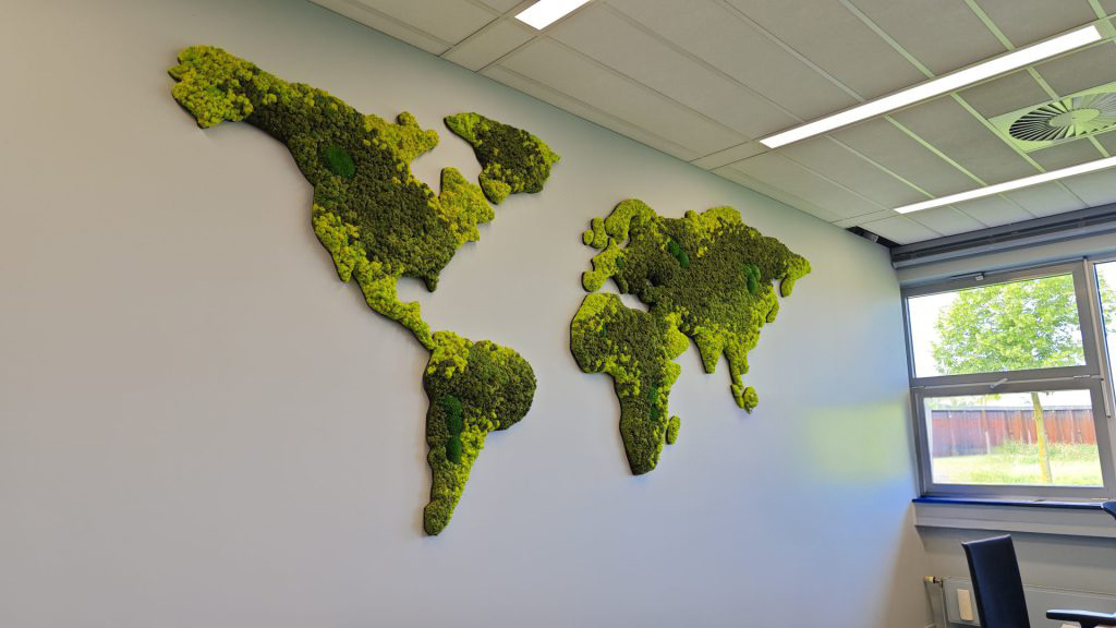 Moswens Moos Weltkarte Varius 200 cm