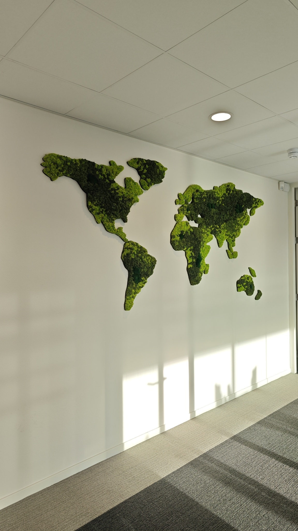 Moswens Moos Weltkarte Varius 200 cm