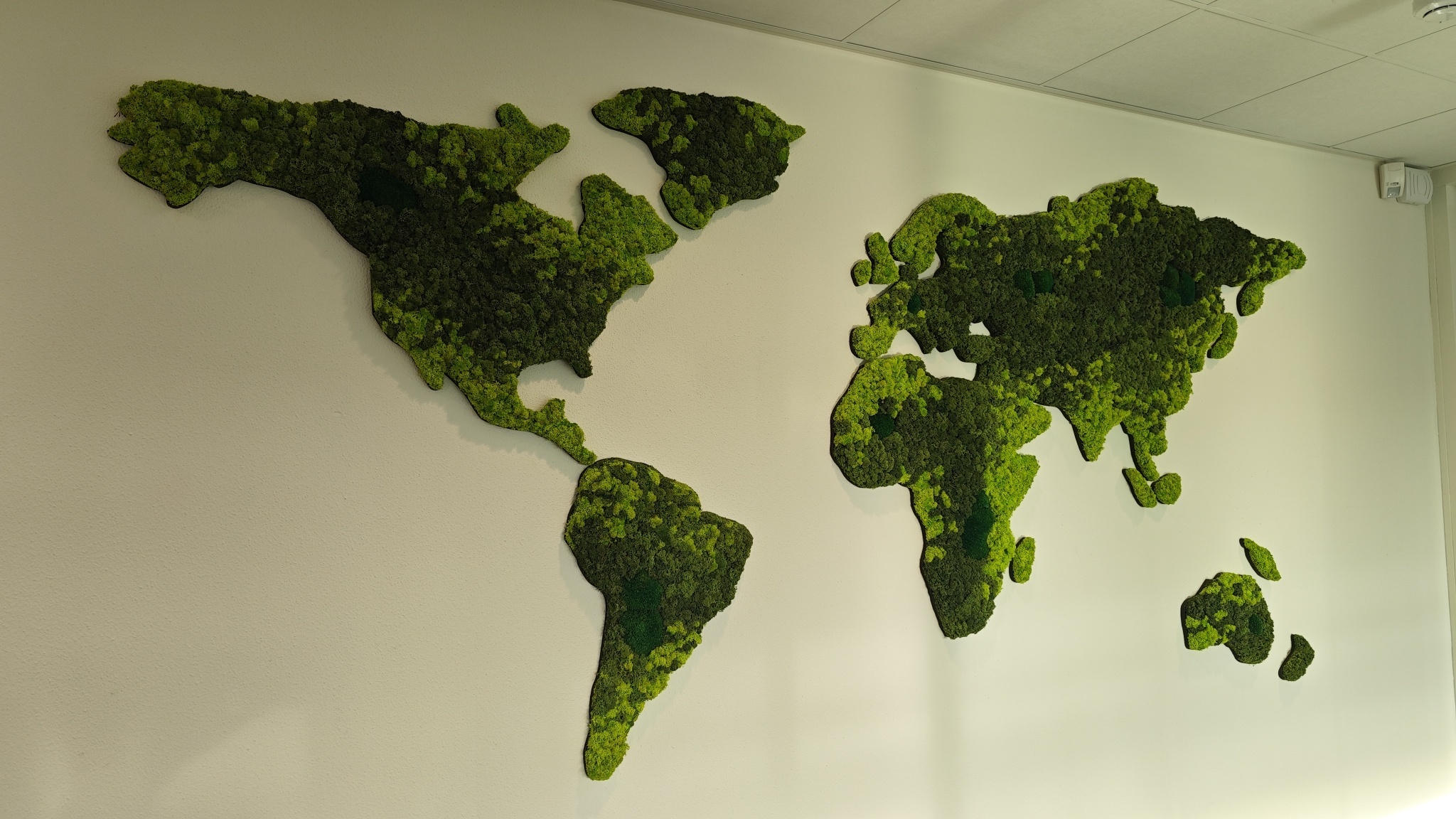 Moswens Moos Weltkarte Varius 200 cm