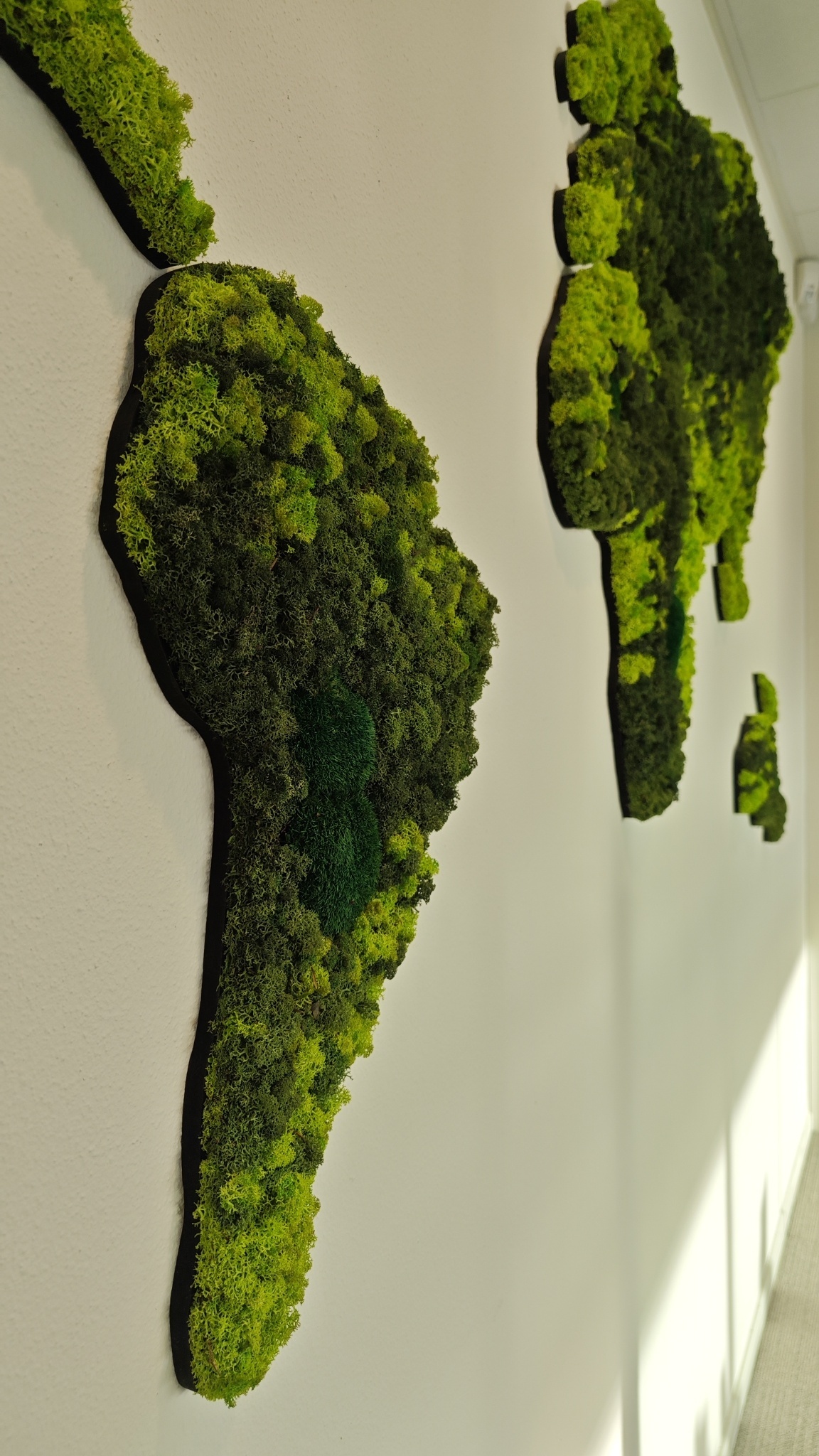 Moswens Moos Weltkarte Varius 200 cm