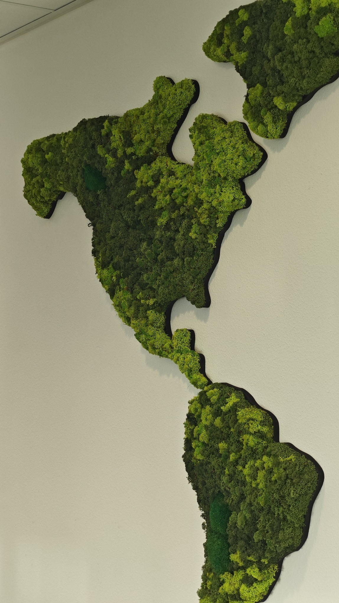 Moswens Moos Weltkarte Varius 200 cm