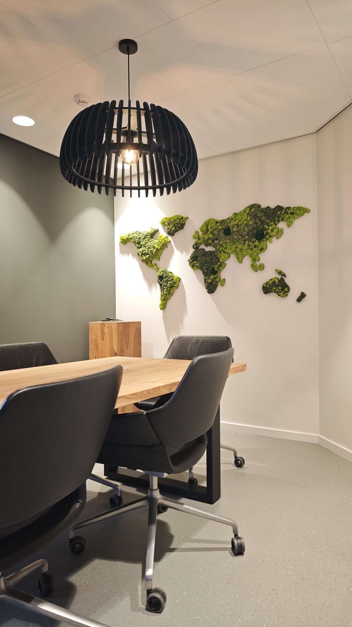 Moswens Moos Weltkarte Varius 200 cm