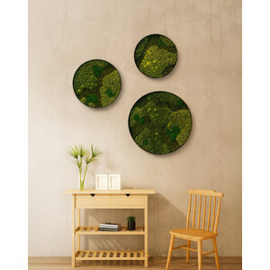 Rundes Moosbild Set Oletta