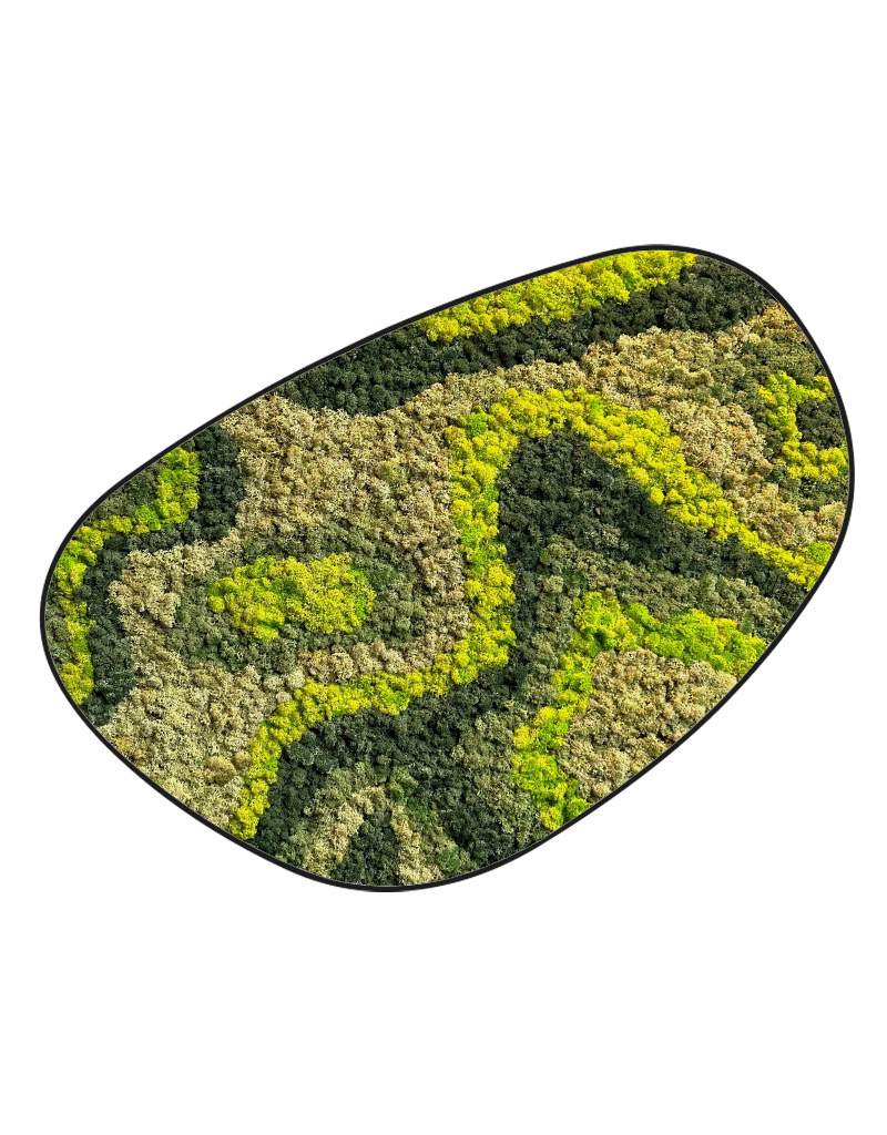 Moswens Moosdots Cuatro Moosbild Organica