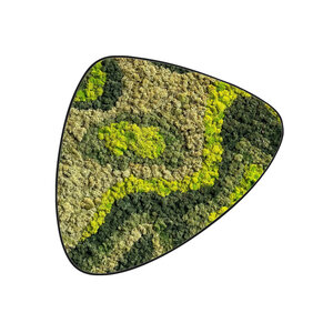 Moosdot tres Moosbild Organica