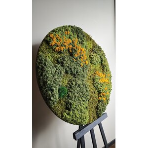 OUTLET Moosbild mit Gelb Ø100 cm (1 Stk)