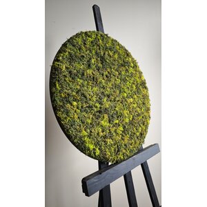 OUTLET Moosbild gemischt Ø60 cm (1 Stk)