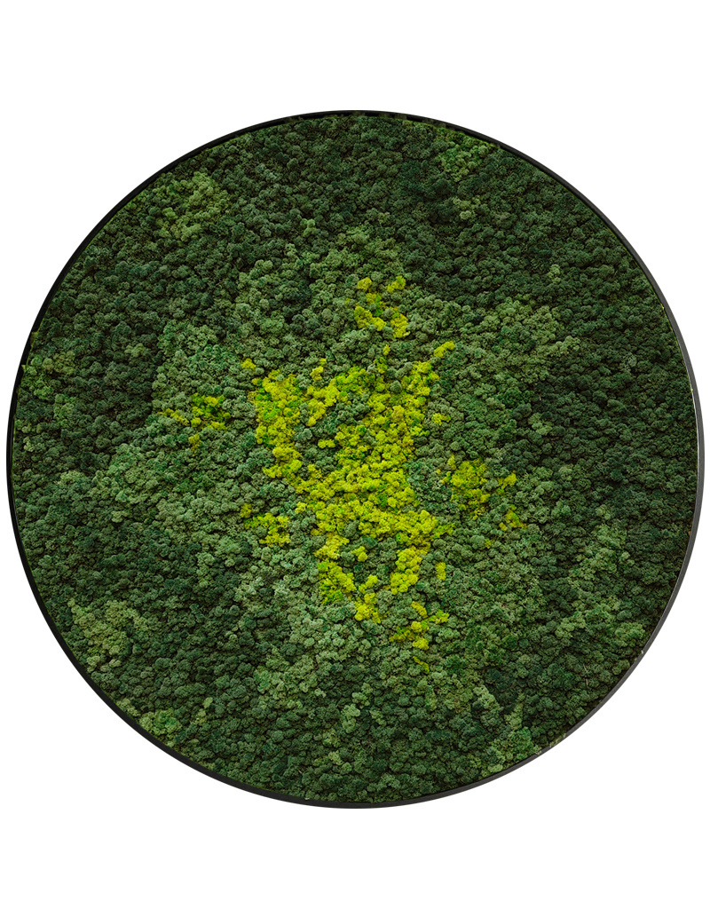 Moswens Rundes Moosbild Splash