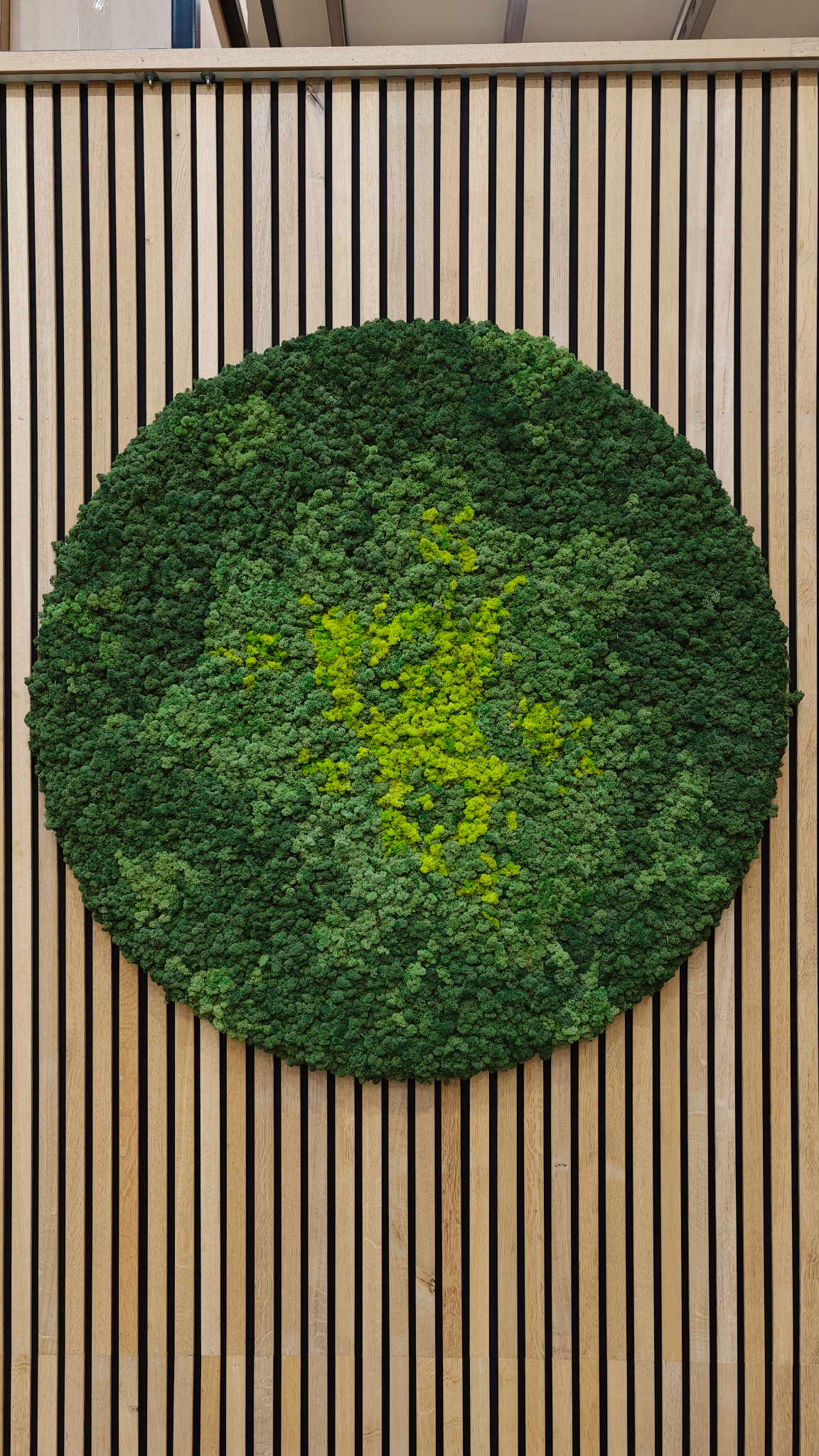 Moswens Rundes Moosbild Splash