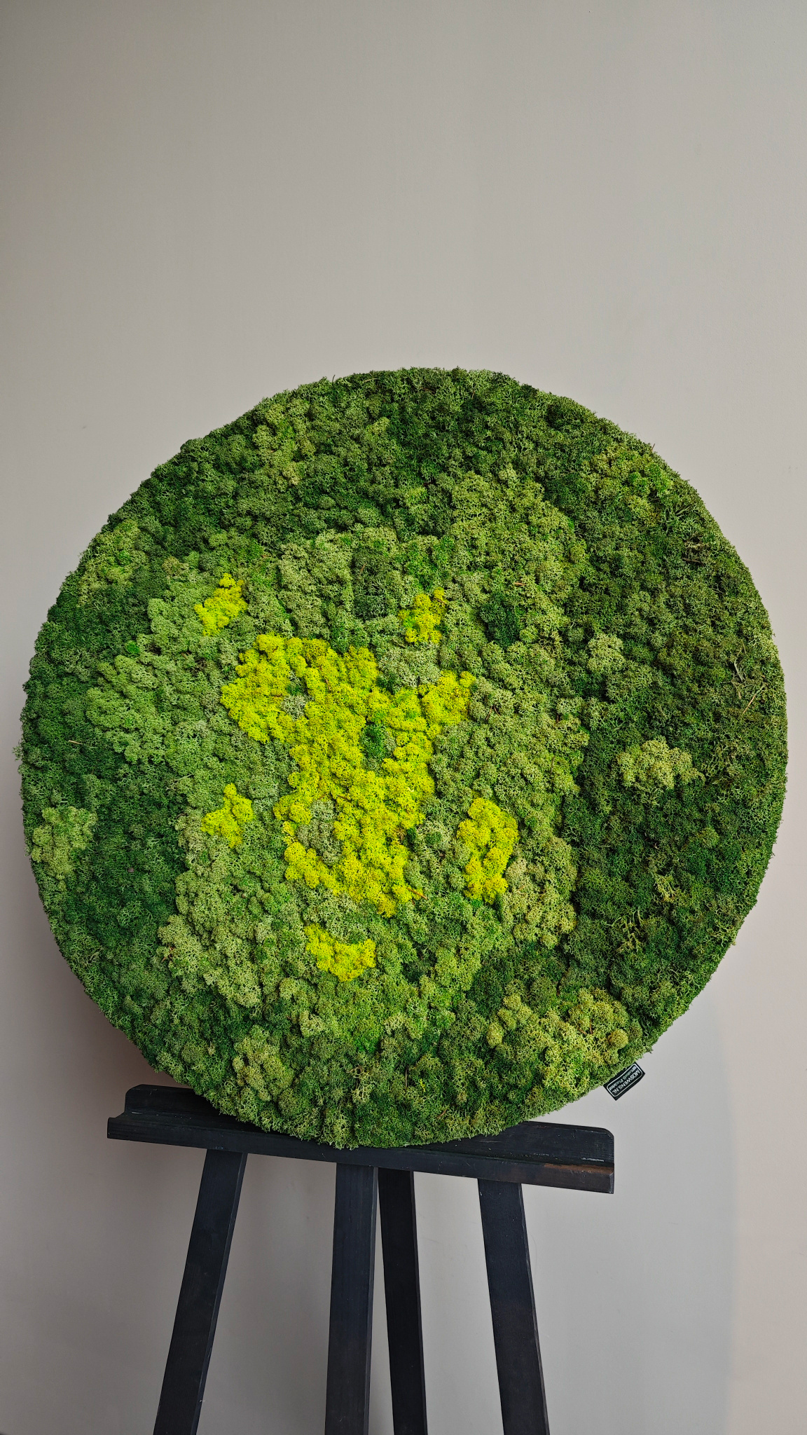 Moswens Rundes Moosbild Splash