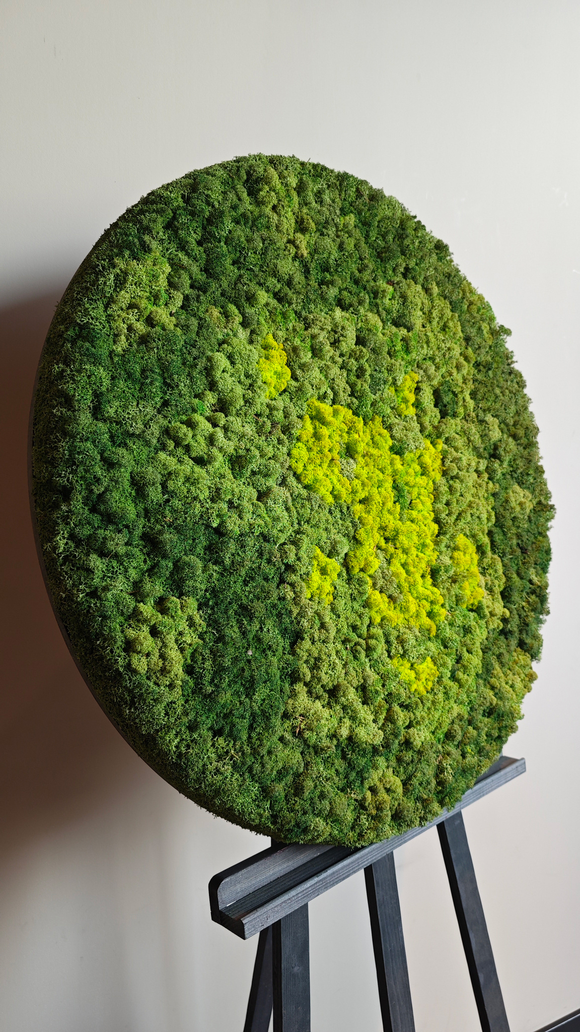 Moswens Rundes Moosbild Splash