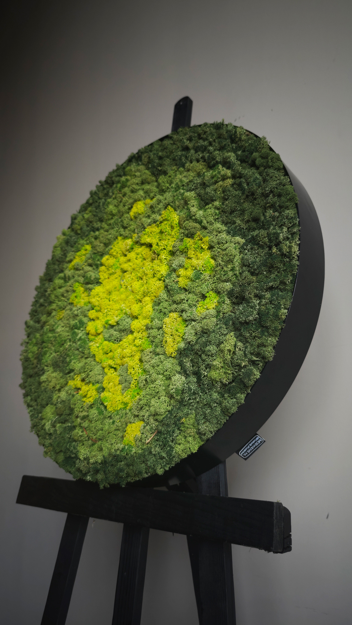 Moswens Rundes Moosbild Splash