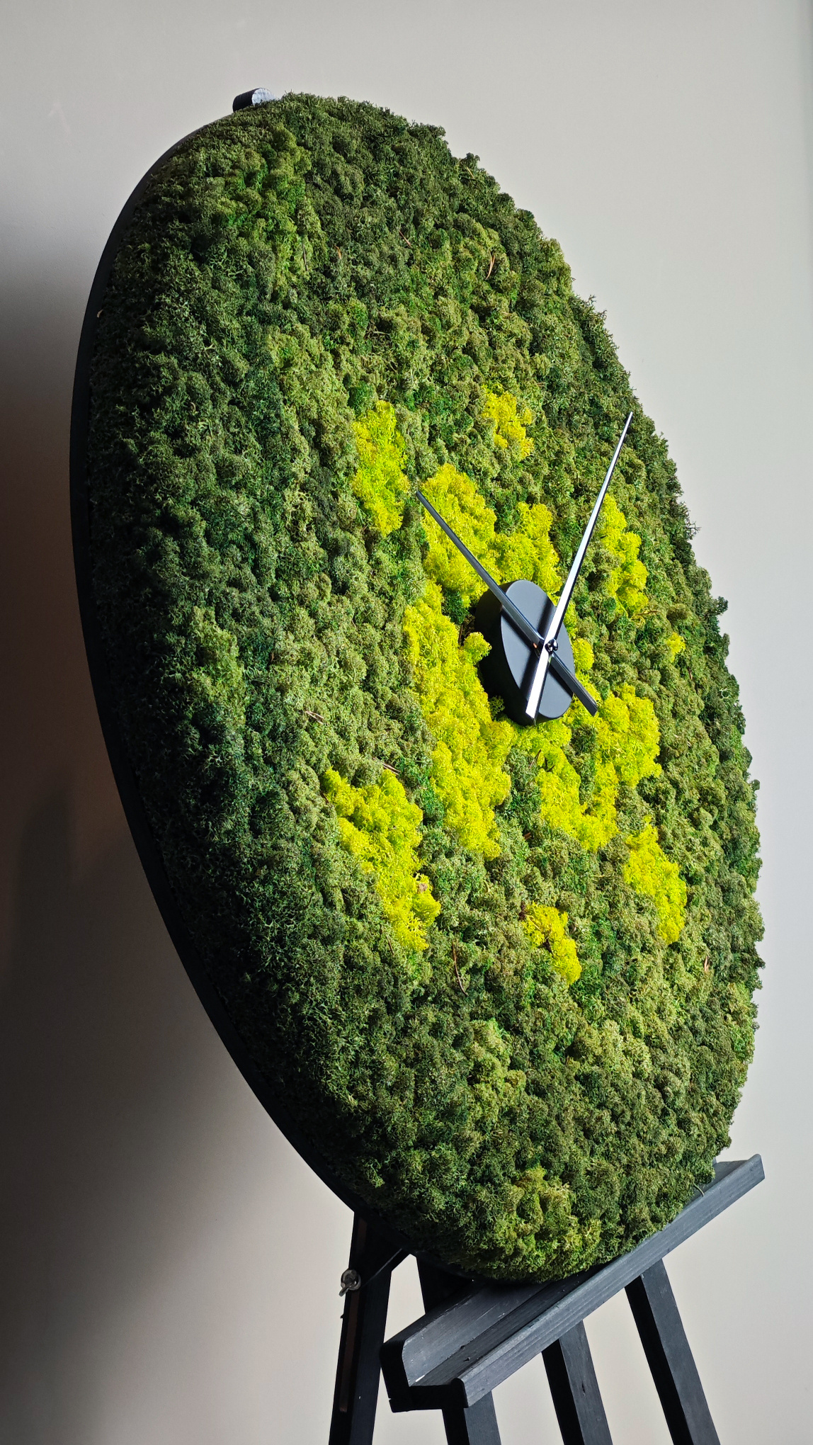 Moswens Rundes Moosbild Splash