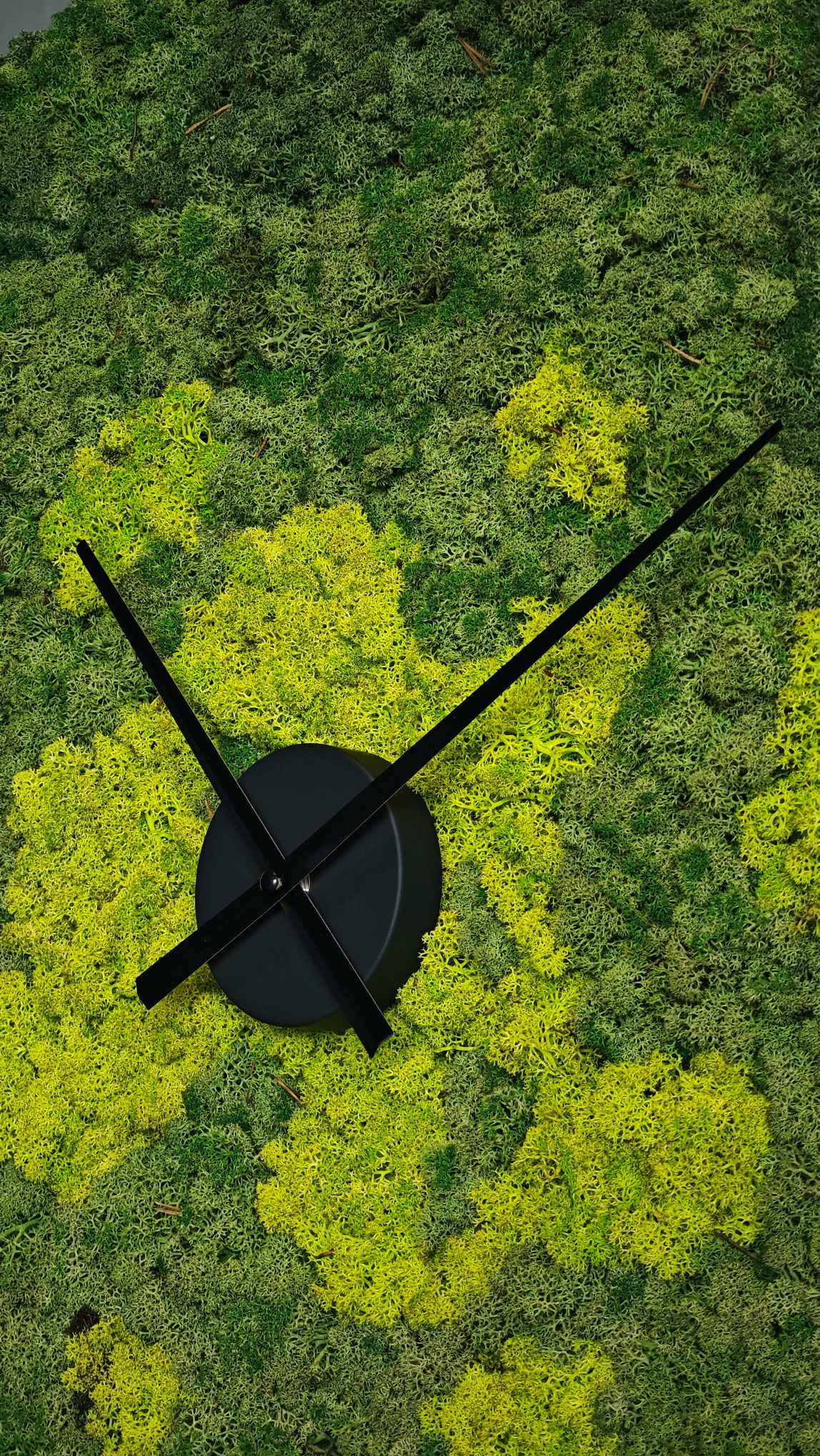 Moswens Rundes Moosbild Splash