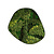 Moswens Moosdots Cinco Moosbild Evey
