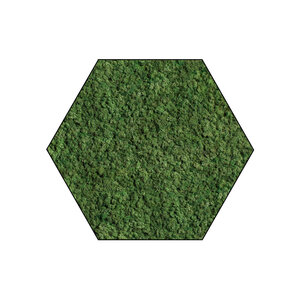 Sechseckiges Moosbild Forest