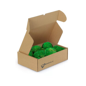 Kugelmoos-Box M 0,08 m²