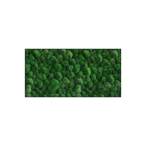 Rechteckiges Moosbild 100% Bulbs - inkl. Rahmen