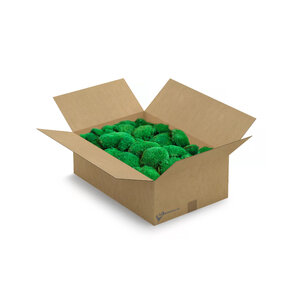 Kugelmoos-Box XL 0,60 m²