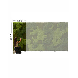MoosBackdrop 1.15 x 2.37 (Miete)