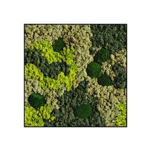 Quadratisches Moosbild Vlekova