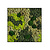 Moswens Quadratisches Moosbild Vlekova
