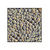 Moswens Quadratisches Echinops inklusive Rahmen
